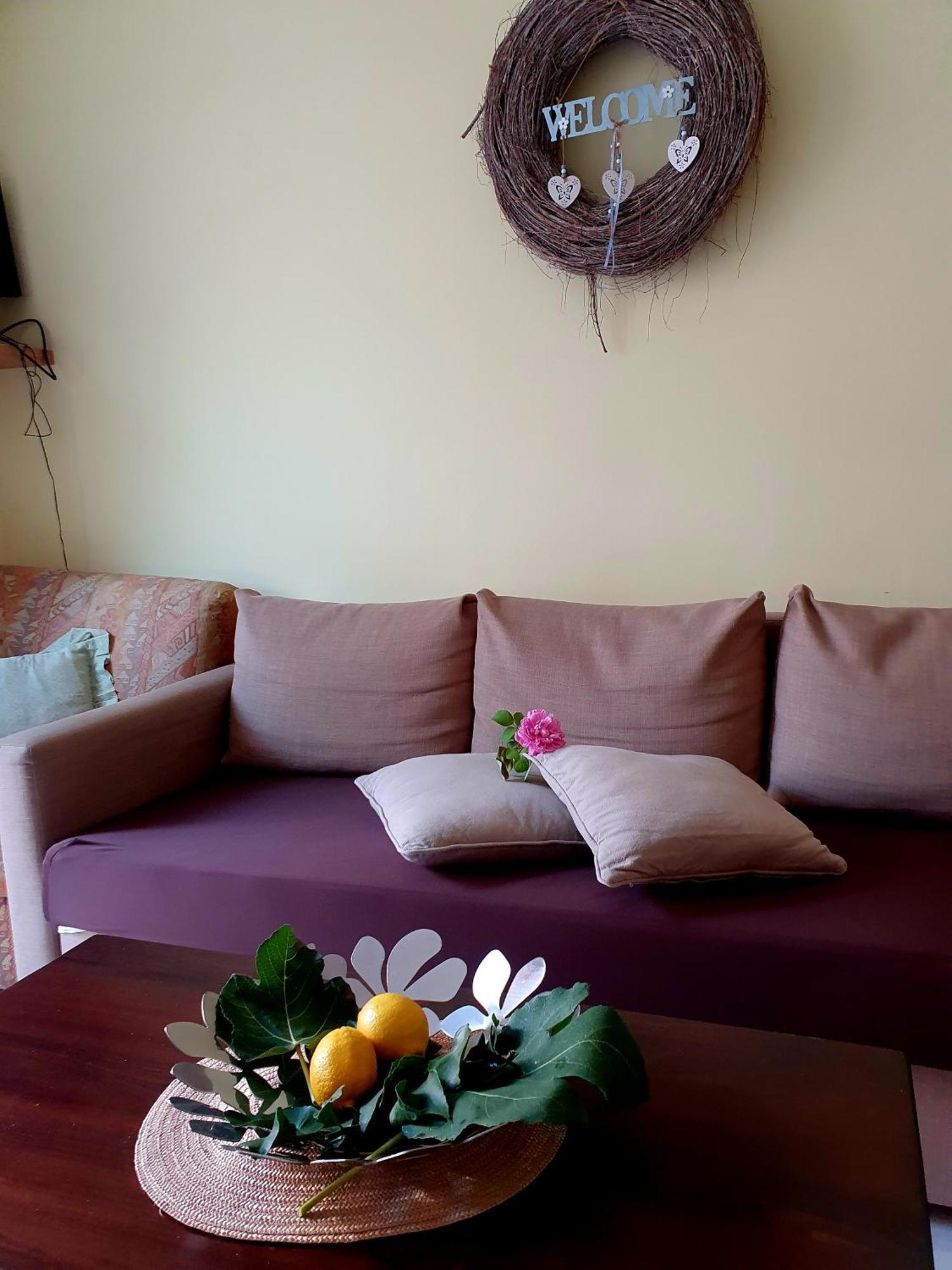 Casa Vacanze Rosy "Nel Verde" パリヌロ エクステリア 写真