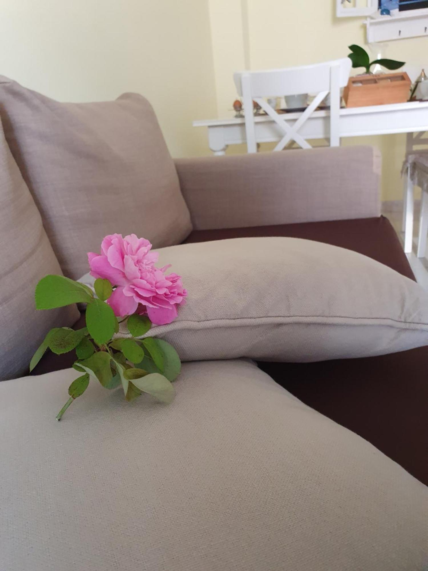 Casa Vacanze Rosy "Nel Verde" パリヌロ エクステリア 写真