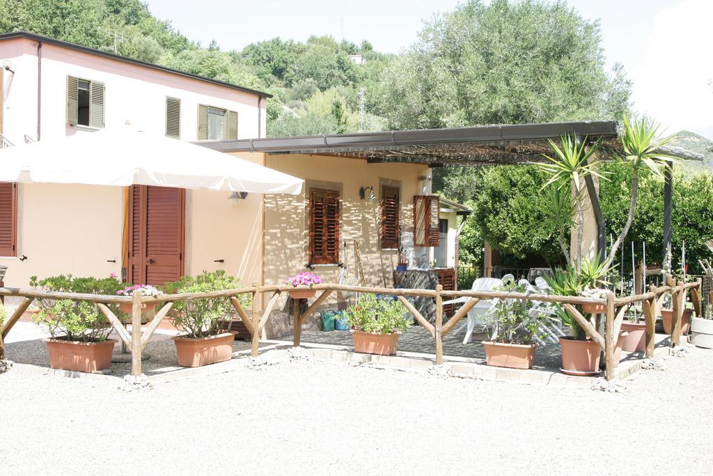 Casa Vacanze Rosy "Nel Verde" パリヌロ 部屋 写真